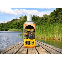Invader Booster Cortes Ananas-Brzoskwinia 250ml